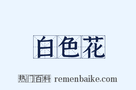 白色花是什么意思的图片